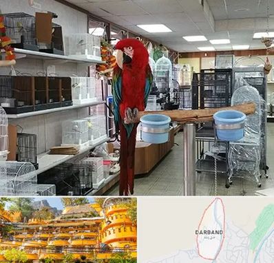 پرنده فروشی در دربند