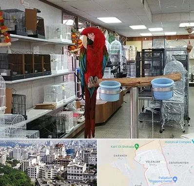 پرنده فروشی در ولنجک 