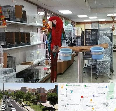 پرنده فروشی در شهرک آزمایش 