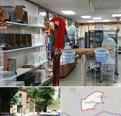 پرنده فروشی در دزاشیب