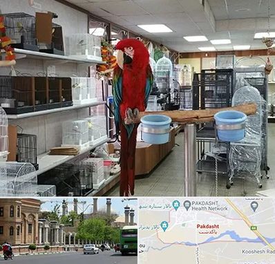 پرنده فروشی در پاکدشت