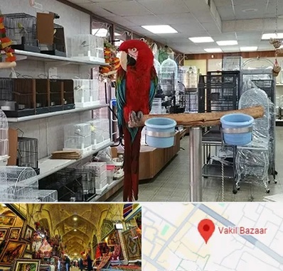 پرنده فروشی در بازار وکیل شیراز