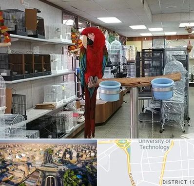 پرنده فروشی در استاد معین 