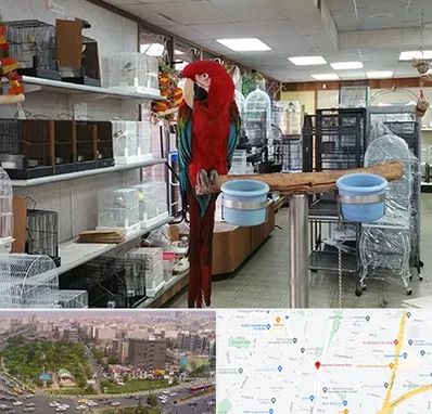 پرنده فروشی در آیت الله کاشانی 