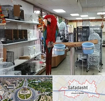 پرنده فروشی در صفادشت