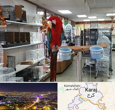 پرنده فروشی در کرج