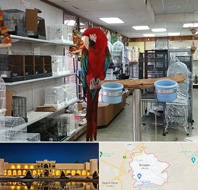 پرنده فروشی در برازجان