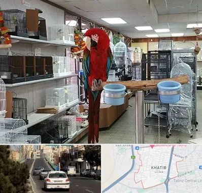 پرنده فروشی در خطیب تبریز