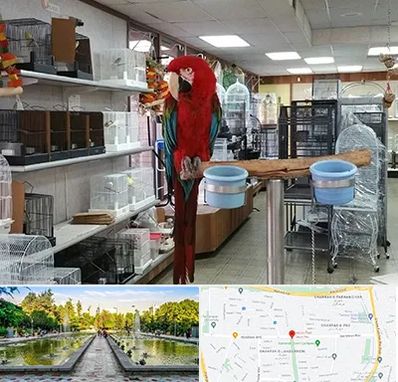 پرنده فروشی در سرسبز 