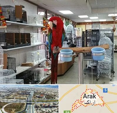 پرنده فروشی در اراک
