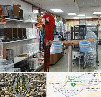 پرنده فروشی در نارمک 