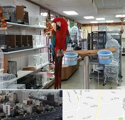 پرنده فروشی در زرتشت