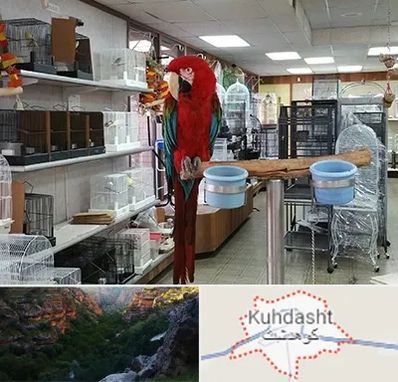 پرنده فروشی در کوهدشت
