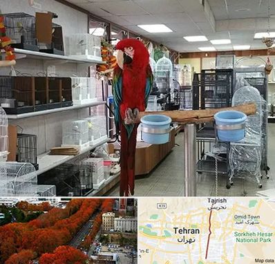 پرنده فروشی در ولیعصر 