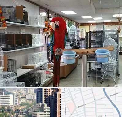 پرنده فروشی در خیابان بهشتی