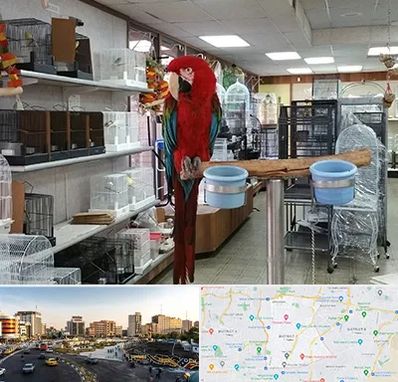 پرنده فروشی در منطقه 7 تهران 