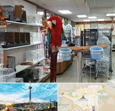 پرنده فروشی در تهران