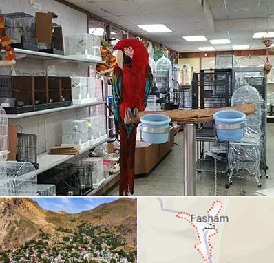 پرنده فروشی در فشم