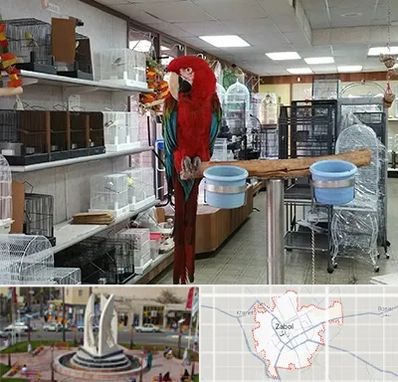 پرنده فروشی در زابل