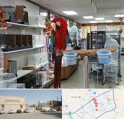 پرنده فروشی در نواب اسلامشهر