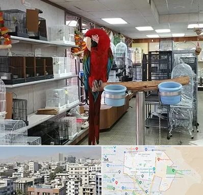 پرنده فروشی در منطقه 14 تهران 
