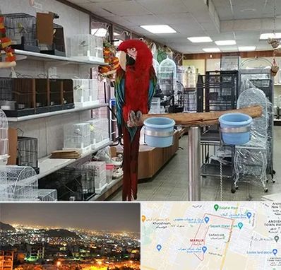 پرنده فروشی در مارلیک کرج 