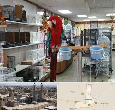 پرنده فروشی در سبزوار