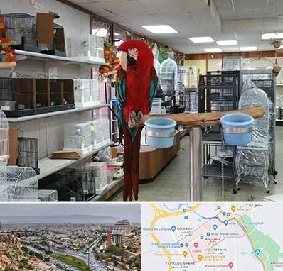 پرنده فروشی در معالی آباد شیراز 