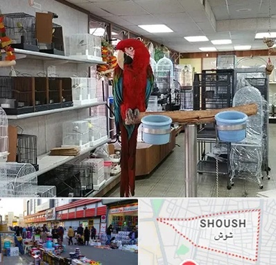 پرنده فروشی در شوش