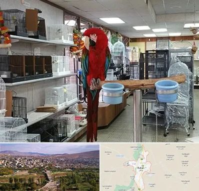 پرنده فروشی در بوکان