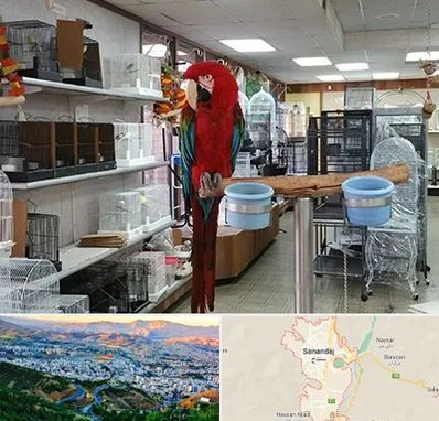 پرنده فروشی در سنندج