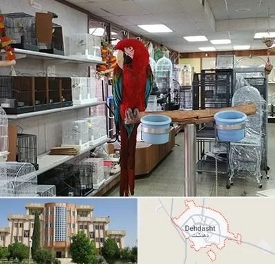 پرنده فروشی در دهدشت