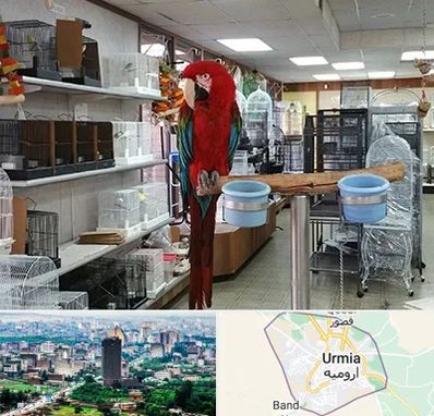 پرنده فروشی در ارومیه