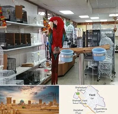 پرنده فروشی در یزد