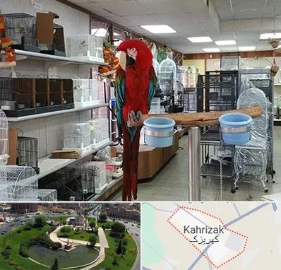 پرنده فروشی در کهریزک