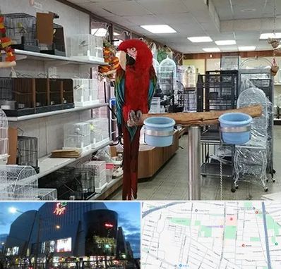 پرنده فروشی در بلوار اباذر