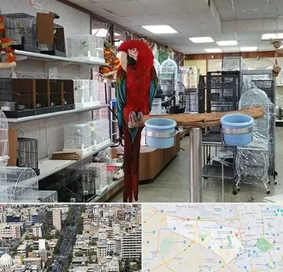 پرنده فروشی در منطقه 18 تهران 