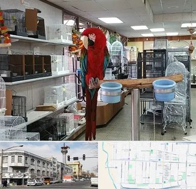 پرنده فروشی در 17شهریور