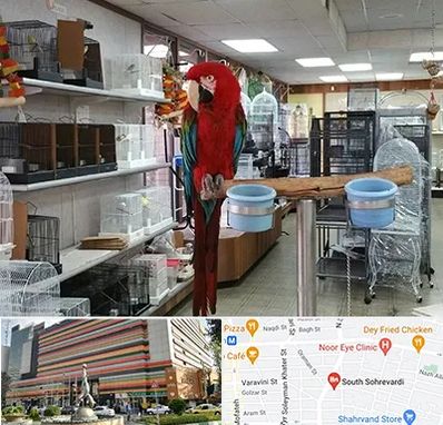 پرنده فروشی در سهروردی 