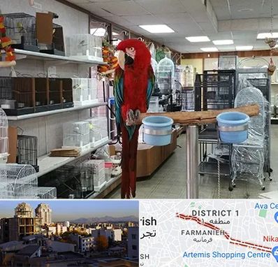 پرنده فروشی در فرمانیه 