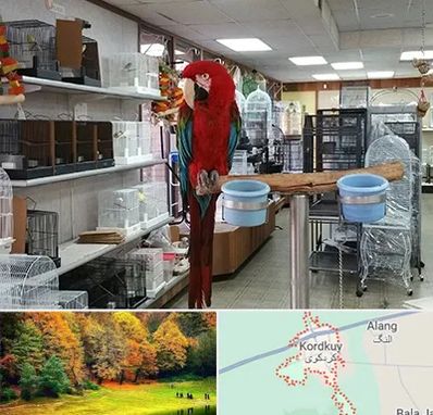 پرنده فروشی در کردکوی