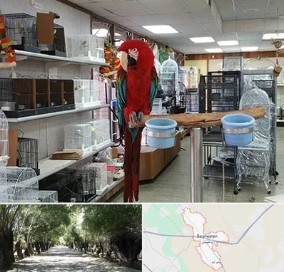 پرنده فروشی در باغستان