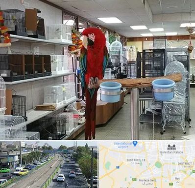 پرنده فروشی در جنوب تهران 