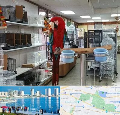 پرنده فروشی در چیتگر 