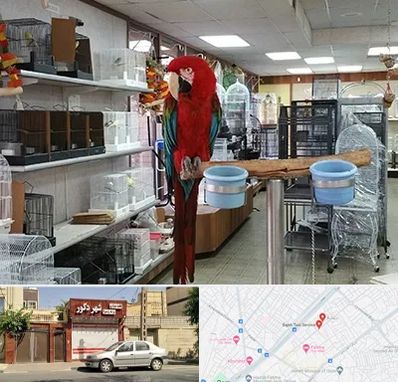 پرنده فروشی در باجک قم