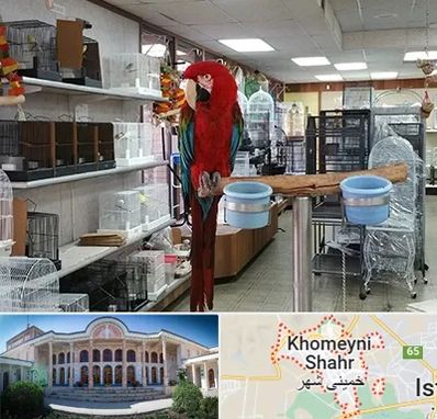 پرنده فروشی در خمینی شهر