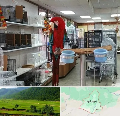 پرنده فروشی در سوادکوه