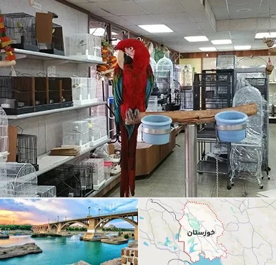 پرنده فروشی در خوزستان