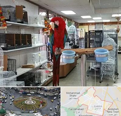 پرنده فروشی در فردیس کرج 