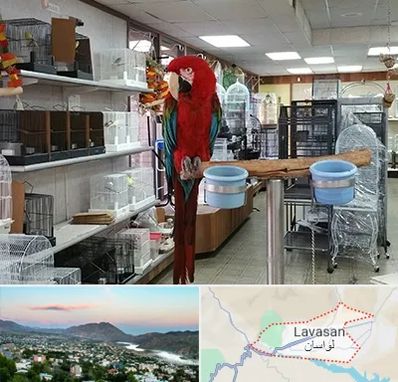 پرنده فروشی در لواسان